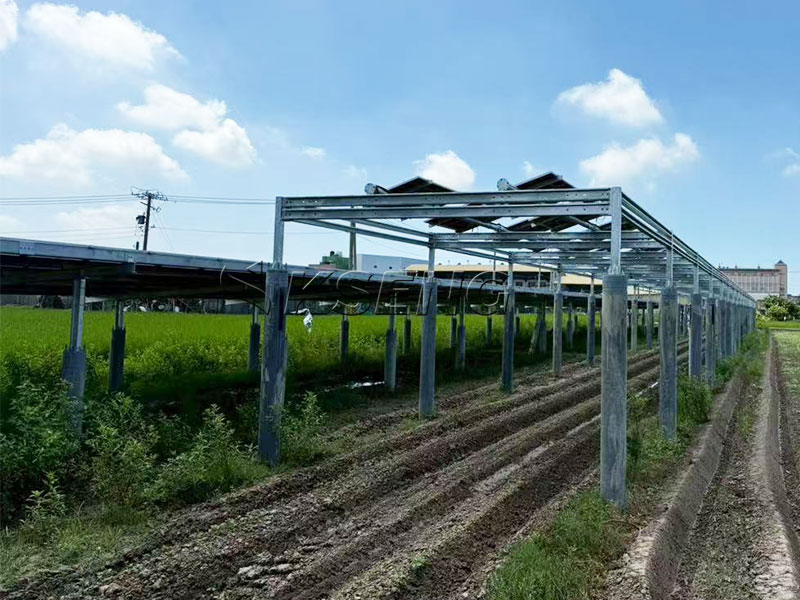 Progetto di capannone agricolo solare personalizzato di Kseng a Changhua, Taiwan: un sistema di montaggio a terra da 158.835 kW con angoli regolabili