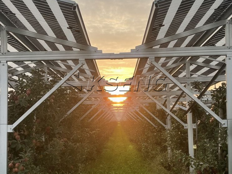Caso di studio – Parco solare da 3 MW in Germania: una storia di successo con la struttura agri-fotovoltaica di Kseng Solar