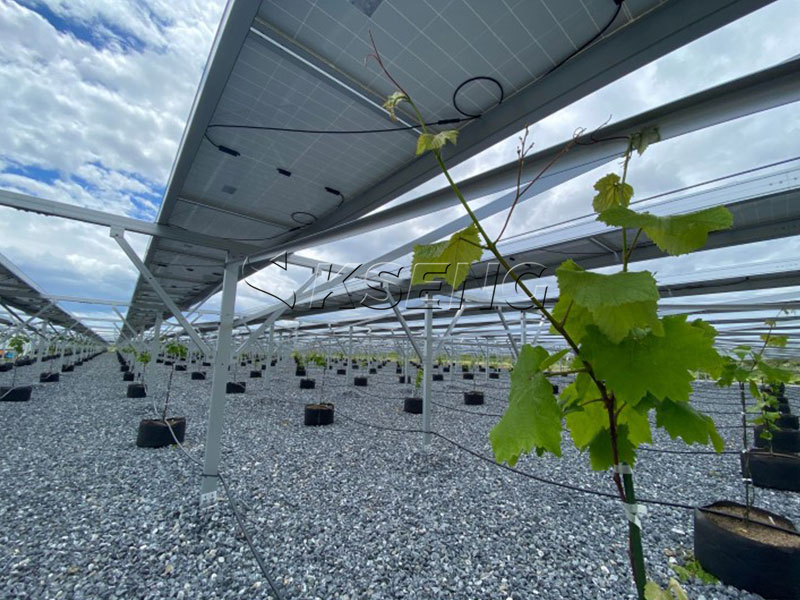Struttura di montaggio Kseng-Energy-Agri-PV